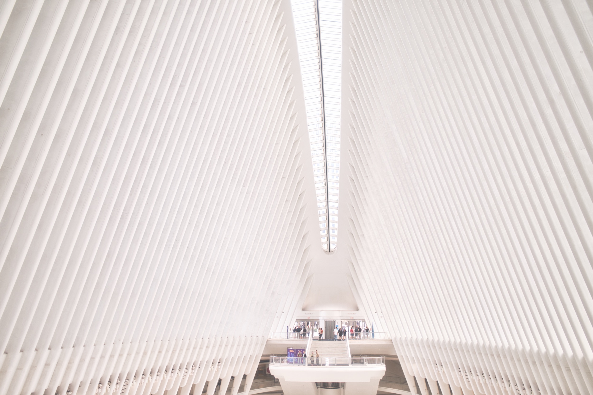 The bright ribbed interior of the Oculus