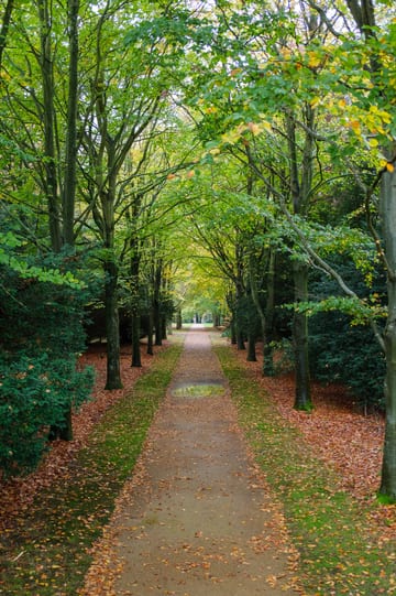 North Norfolk